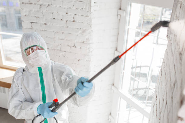 Best Crawl Space Mold Remediation  in Suncook, NH