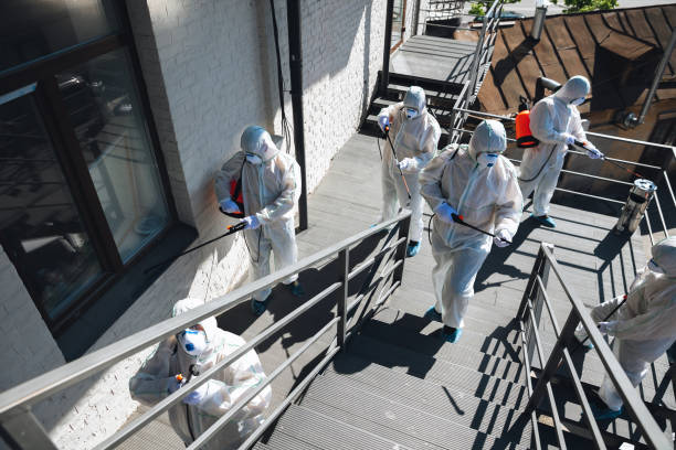 Best Water Damage & Mold Remediation  in Suncook, NH