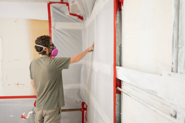 Best Environmental Consulting for Mold Prevention  in Suncook, NH