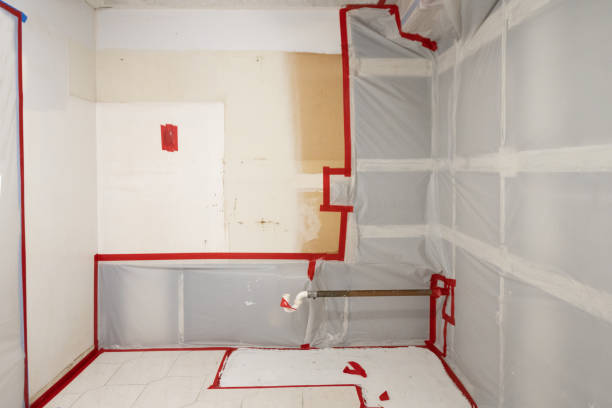  Suncook, NH Mold Removal Pros