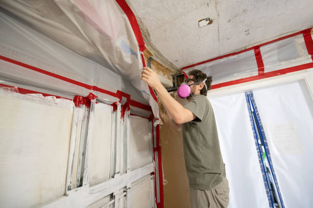 Best Attic Mold Removal  in Suncook, NH