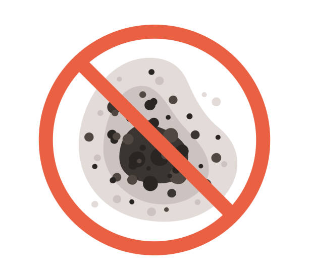 Best Emergency Mold Remediation  in Suncook, NH