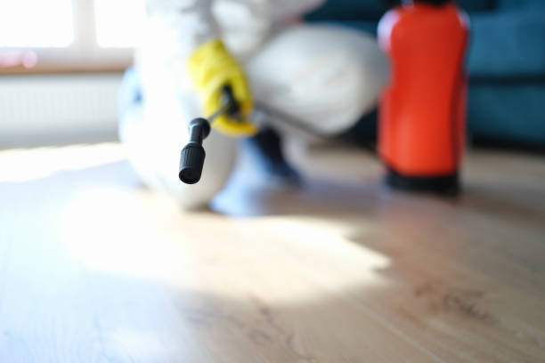 Mold Odor Removal Services in Suncook, NH