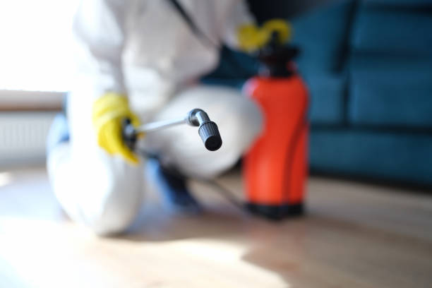 Best Post-Remediation Verification Testing  in Suncook, NH