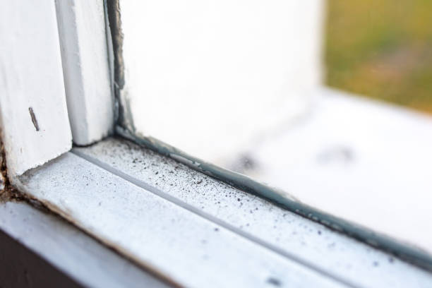 Best Mold Odor Removal Services  in Suncook, NH
