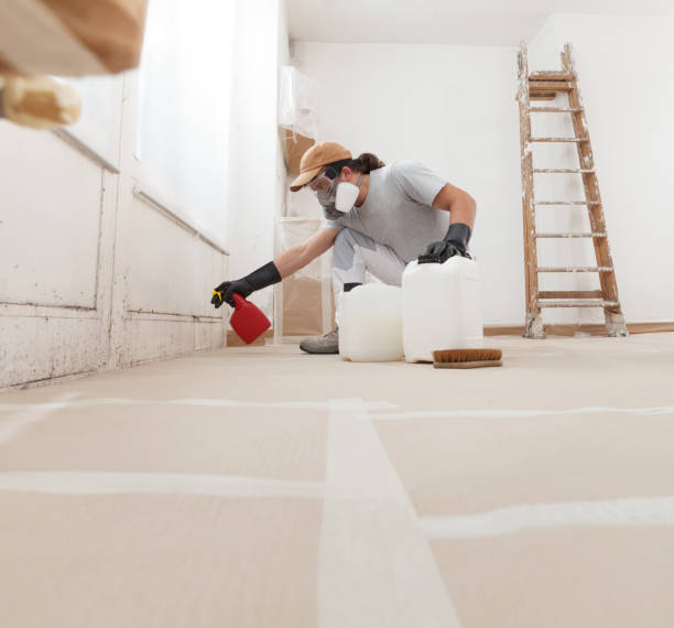 Best HVAC Mold Inspection and Cleaning  in Suncook, NH