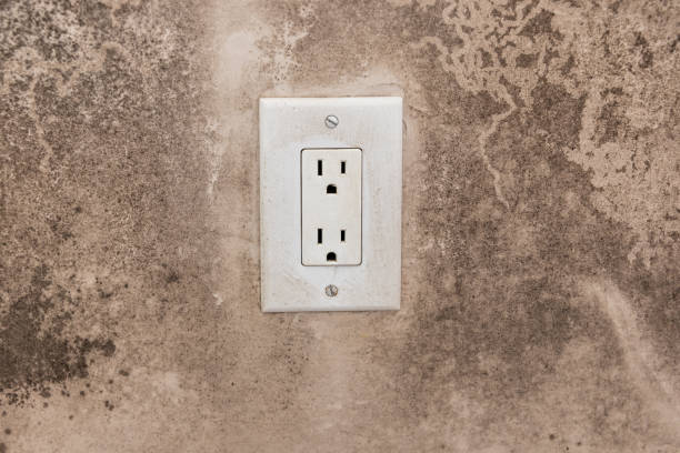 Best Asbestos and Lead Testing During Mold Inspection  in Suncook, NH
