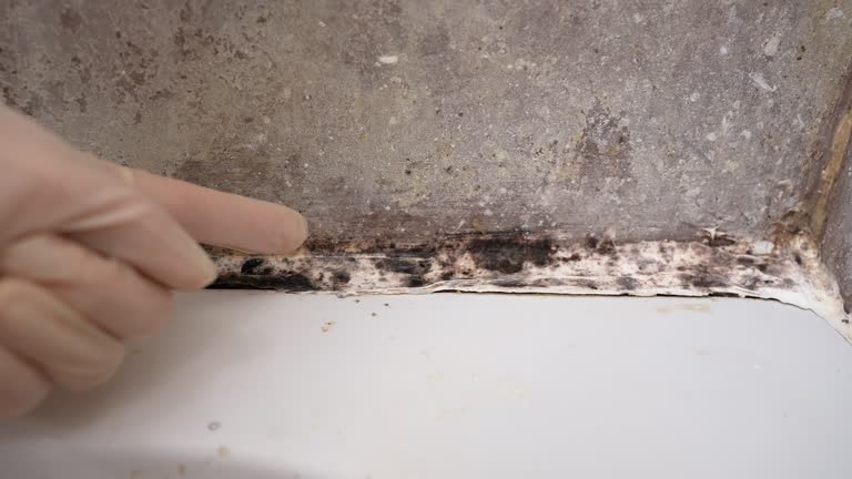 Best Airborne Mold Testing  in Suncook, NH