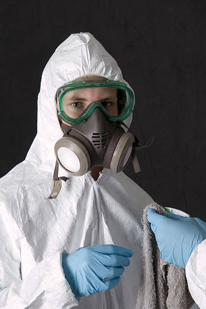 Best Real Estate Mold Inspection  in Suncook, NH
